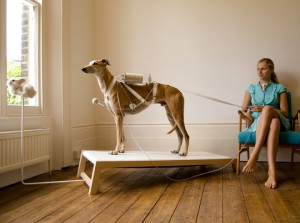 Ventilation Dog