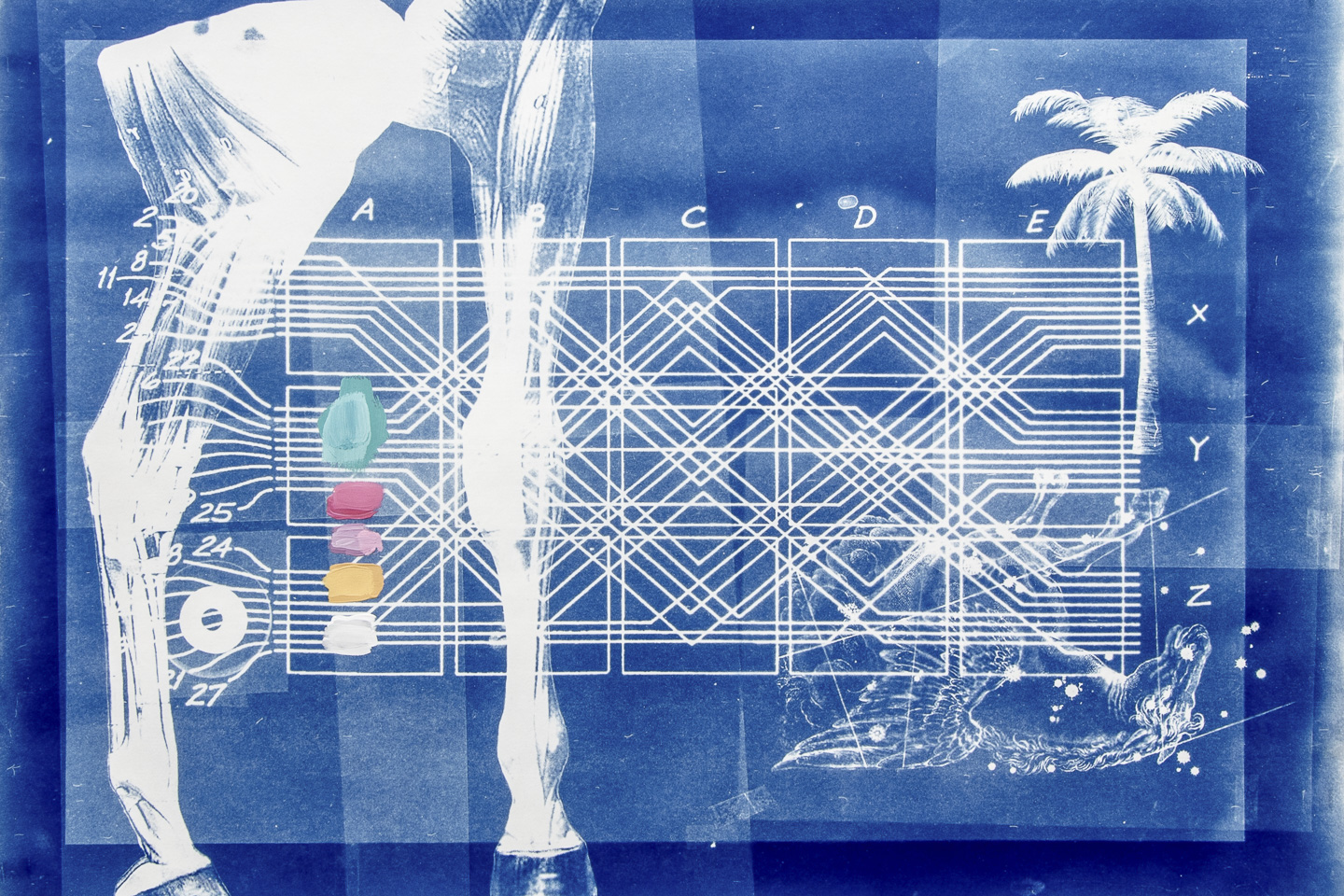blueprint-sterile5-1440